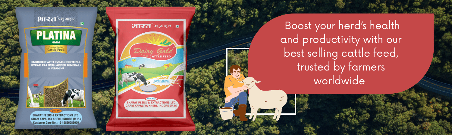 Compound Cattle Feed