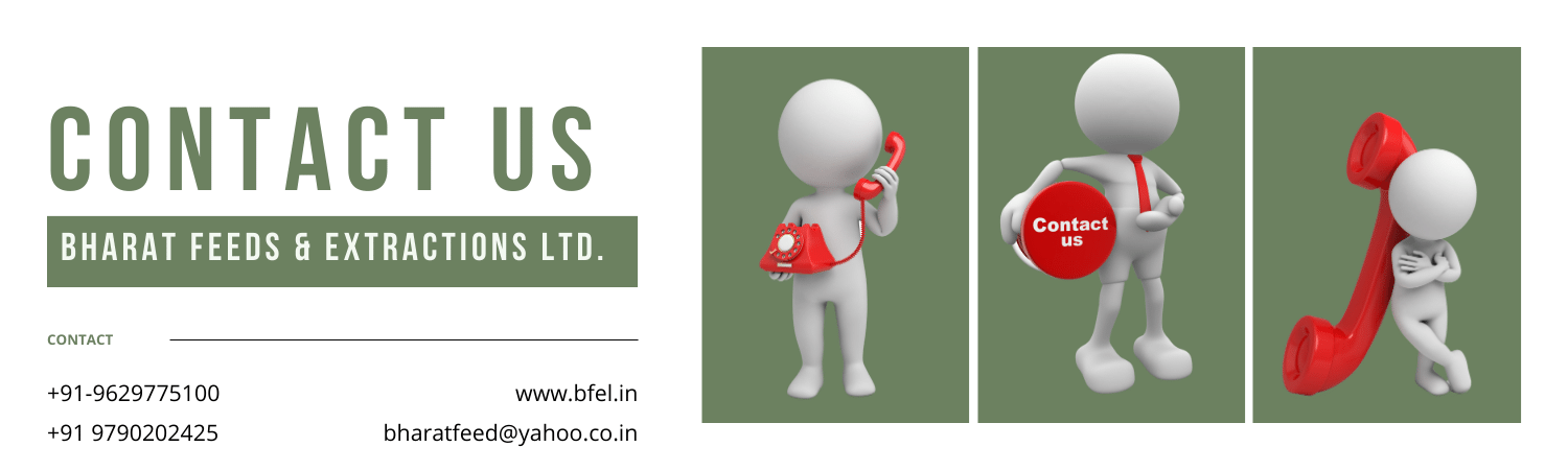 Contact Us Page of Bharat Feeds & Extractions Limited