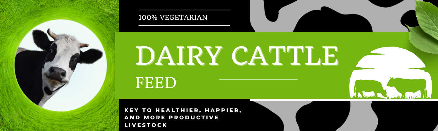 Dairy Cattle Feed manufactured by Bharat Feeds & Extractions Limited