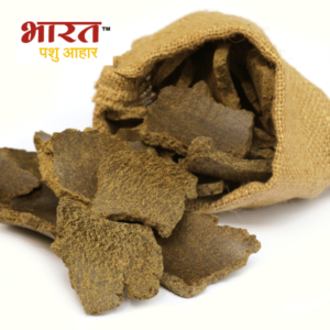 Mustard Oil Cake used as a cattle feed