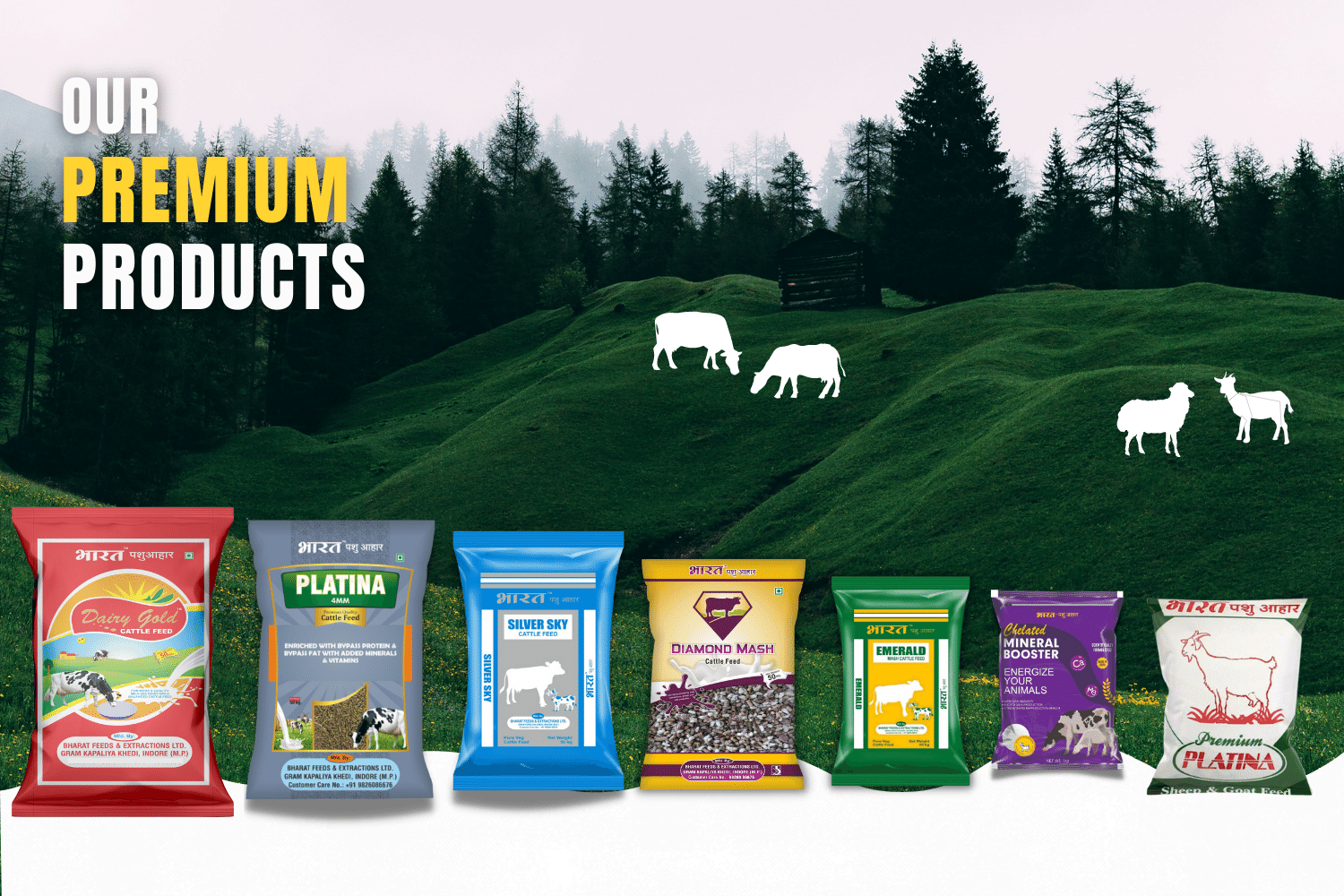 Cattle Feed Premium Products: Bharat Feeds & Extractions Limited