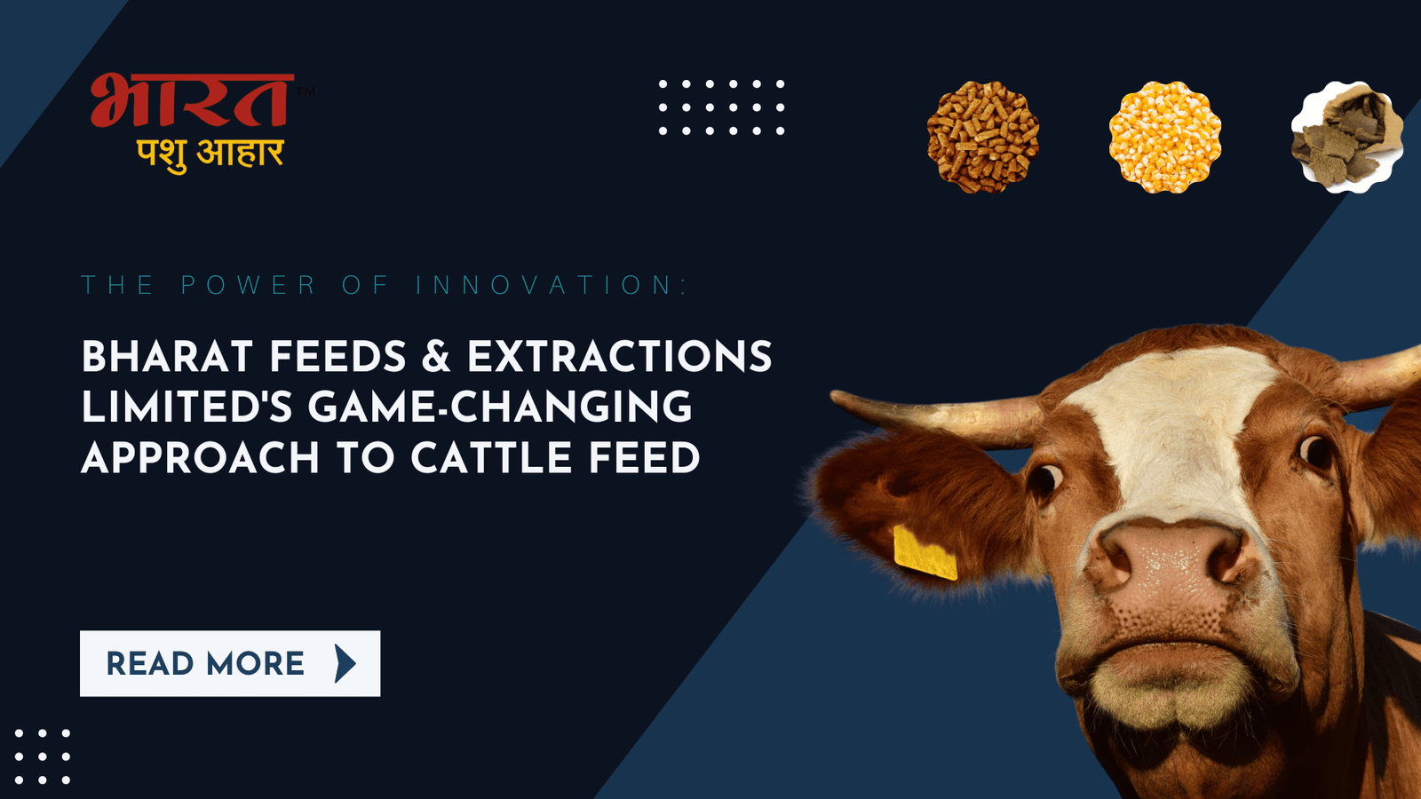 Game-Changing Cattle Feed Innovation