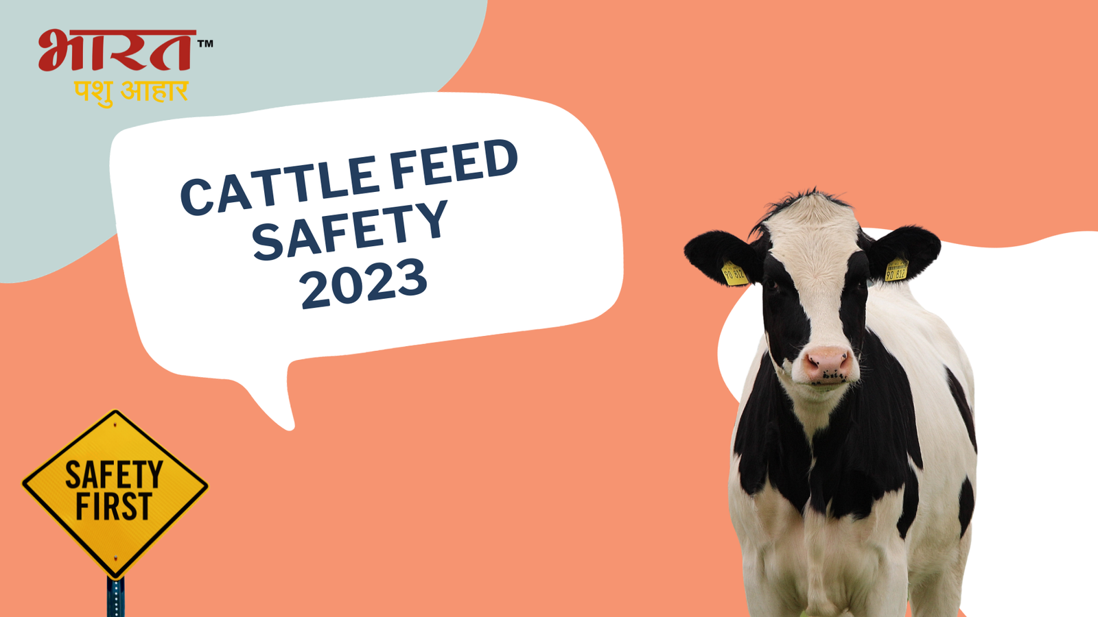 Cattle Feed Safety in 2023: A Guide for Farmers and Feed Producers