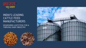 Top Cattle Feed Manufacturer of India
