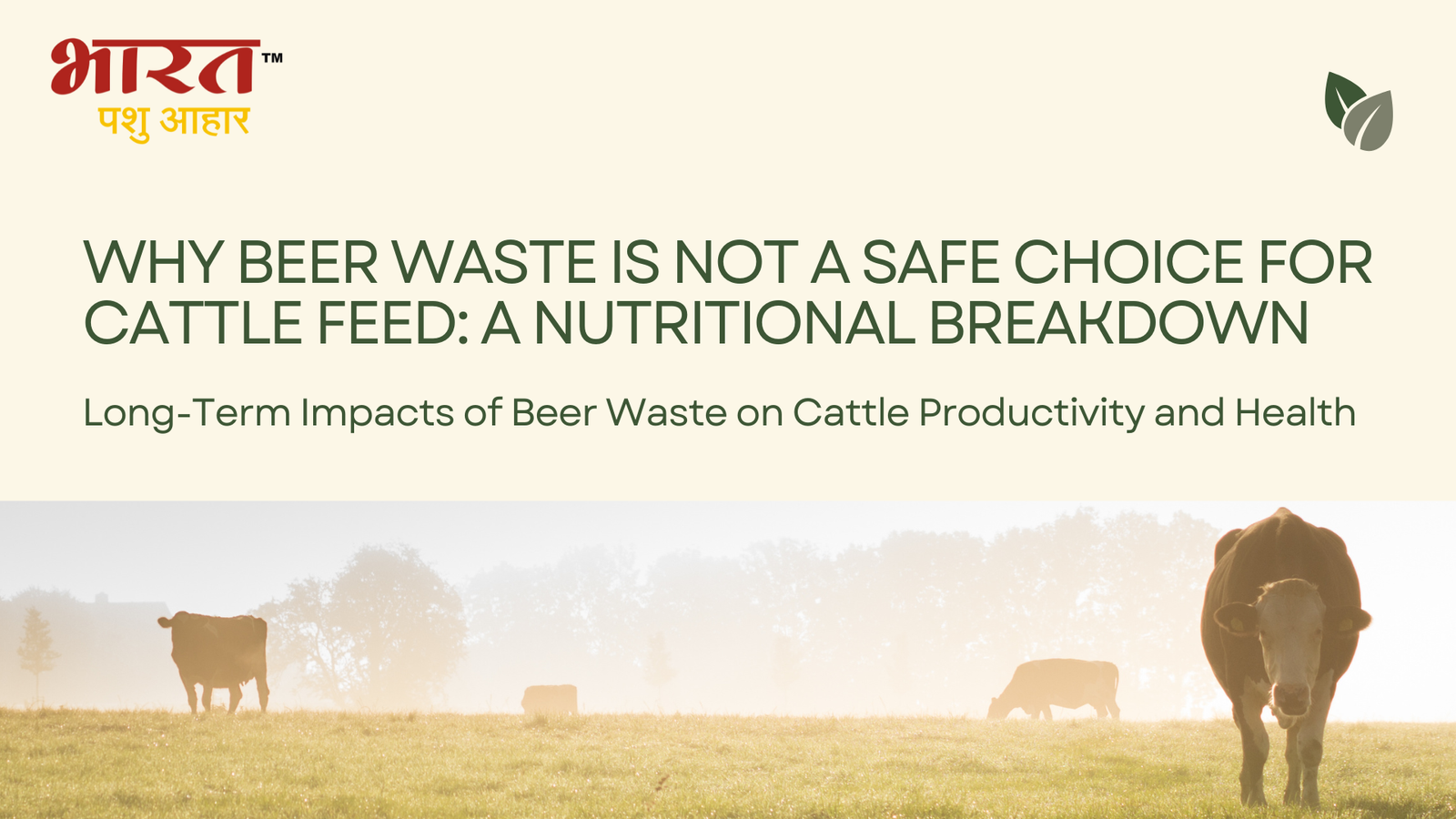 Why Beer Waste is Not a Safe Choice for Cattle Feed: A Nutritional Breakdown